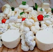 مصنع لانتاج الاجبان