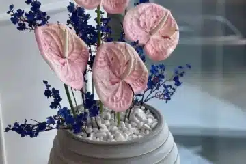 محل ورد للتقبيل/للبيع (مع منسق خبرة) في تبوك