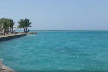 مدينة جدة