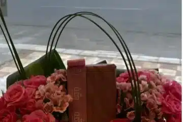 بوكس ورد