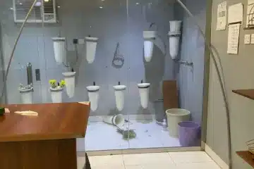 ثلاجة حفظ ورد