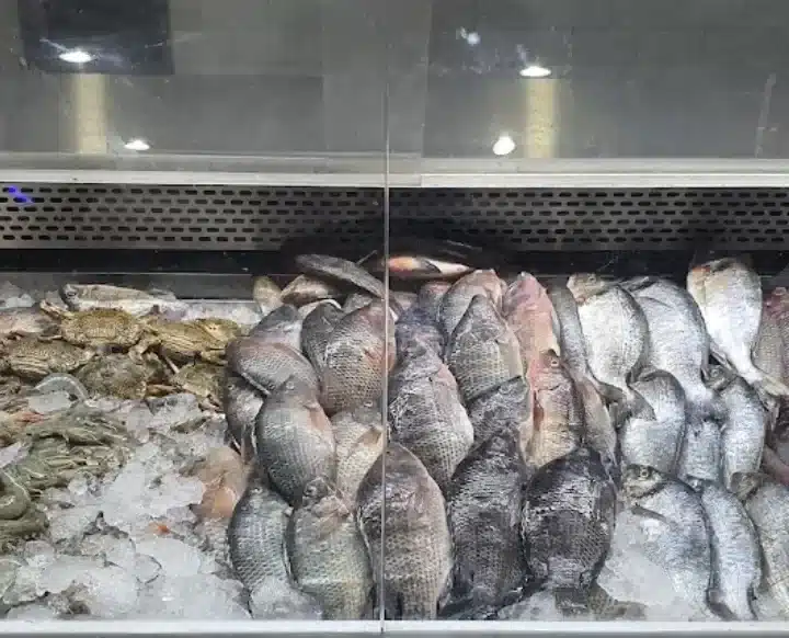 ثلاجة عرض أسماك الباشا