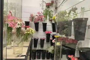 ثلاجة حفظ الورد