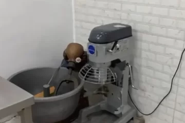 عجانة