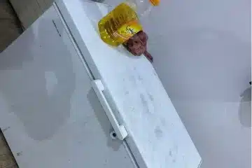 فريزر