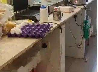 مطعم للتقبيل بالمدينة المنورة