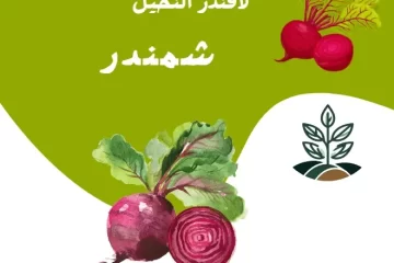 متجر بيع بذور زراعية