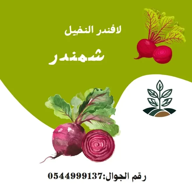 متجر بيع بذور زراعية