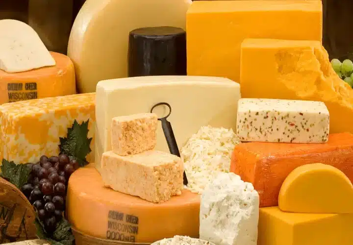 مصنع لانتاج الاجبان